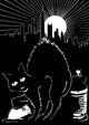 Schwarze Katze