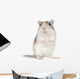 Gerbil Wall Decal