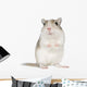 Gerbil Wall Decal