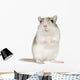 Gerbil Wall Decal