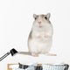Gerbil Wall Decal