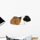 Guinea Pig Wall Decal