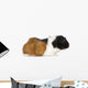 Guinea Pig Wall Decal