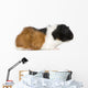 Guinea Pig Wall Decal