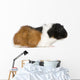 Guinea Pig Wall Decal