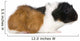Guinea Pig Wall Decal