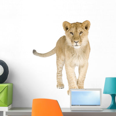 Lion Cub 8 Months Wall Decal shown on a wall