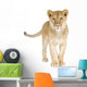 Lion Cub 8 Months Wall Decal