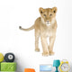 Lion Cub 8 Months Wall Decal