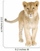 Lion Cub 8 Months Wall Decal