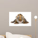 Tiger cub (4 days) Wall Mural