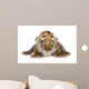 Tiger cub (4 days) Wall Mural