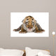Tiger cub (4 days) Wall Mural
