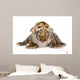 Tiger cub (4 days) Wall Mural