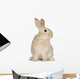 Rabbit Wall Decal