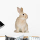 Rabbit Wall Decal