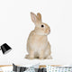 Rabbit Wall Decal