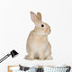 Rabbit Wall Decal