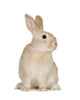 Rabbit Wall Decal