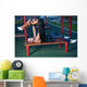 Fitness Couple on a Street Workout Wall Mural