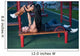 Fitness Couple on a Street Workout Wall Mural