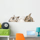 group of bunnies Wall Decal