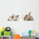 group of bunnies Wall Decal