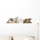 group of bunnies Wall Decal