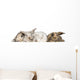 group of bunnies Wall Decal