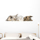 group of bunnies Wall Decal