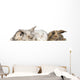 group of bunnies Wall Decal