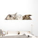 group of bunnies Wall Decal