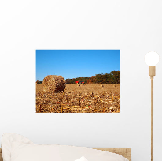 Dried round Bale Corn