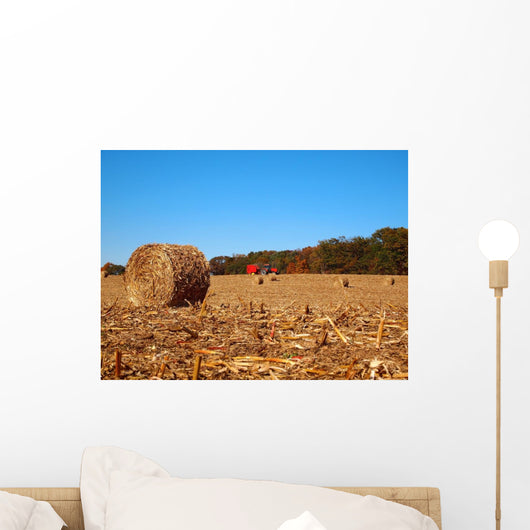 Dried round Bale Corn