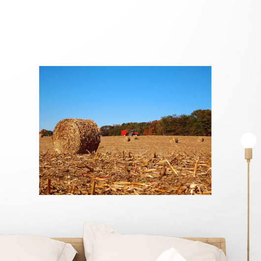 Dried round Bale Corn