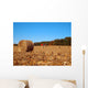 Dried round Bale Corn