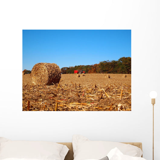 Dried round Bale Corn