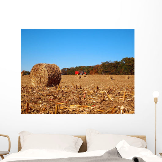 Dried round Bale Corn