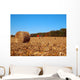 Dried round Bale Corn