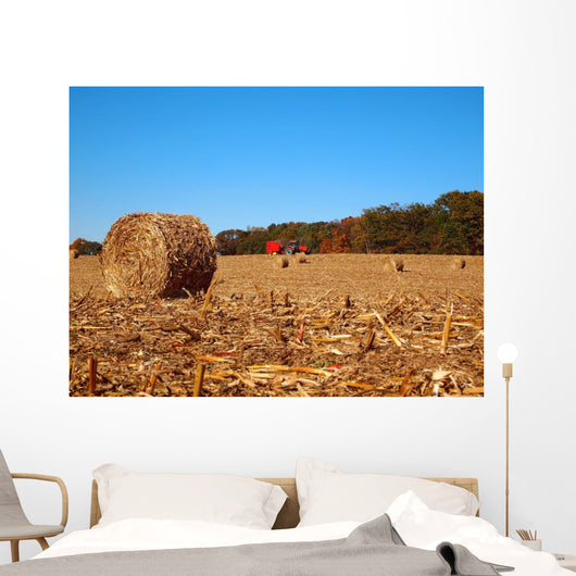 Dried round Bale Corn