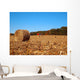 Dried round Bale Corn