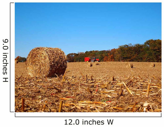 Dried round Bale Corn