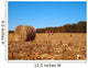 Dried round Bale Corn