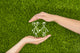 Open hands making a protection gesture Wall Mural