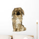 Pekingese 2 Years Wall Decal