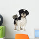 Shih Tzu (5 years) Wall Decal
