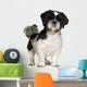 Shih Tzu (5 years) Wall Decal