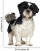 Shih Tzu (5 years) Wall Decal
