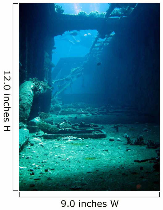 Ship Wreck
