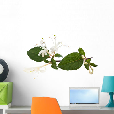 Honeysuckle Flower Wall Decal shown on a wall